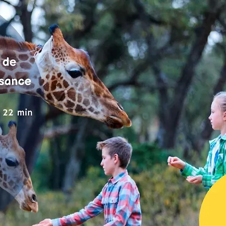 Ancely Neuf Déco Aéro - Parking Gratuit - Proche Blagnac * Tolosa