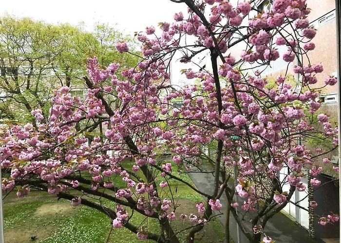 דירה Ancely Neuf Deco Aero - Parking Gratuit - Proche Blagnac *